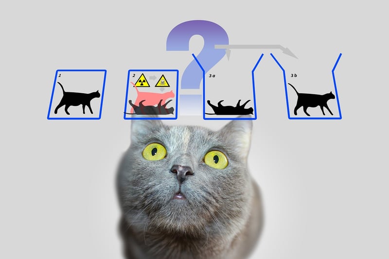 Quantum Field Generator